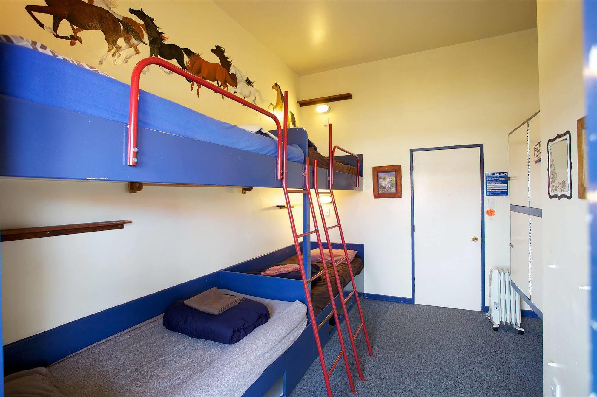 Stables Lodge Backpackers Napier Exterior foto